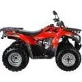 Квадроцикл 250 | Мототека