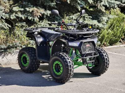 Квадроцикл детский R - MOTO (Р - Мото) Lion 125 AR lite черный (машинокомплект)